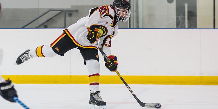 Ice Hockey