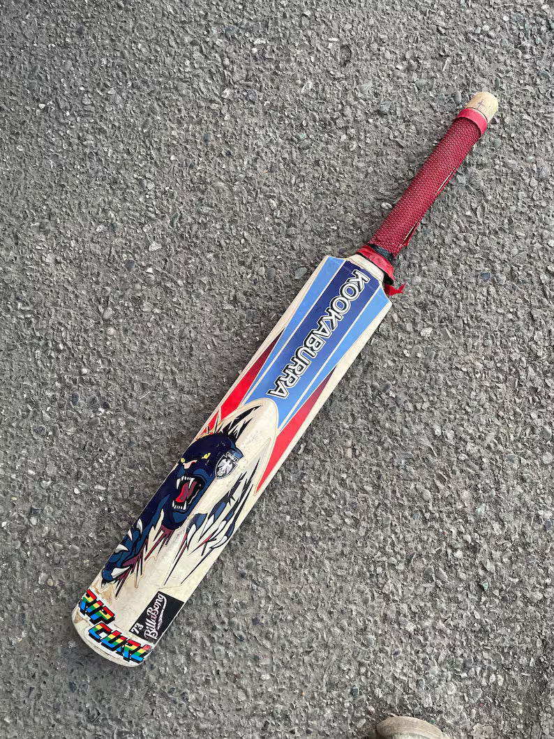 Cricket